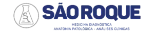sa╠aoroquelogo.webp
